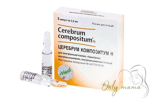 Церебрум композитум при задержке речевого развития (ЗРР)