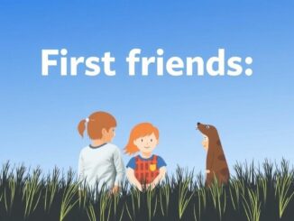 Первые друзья: как помочь ребёнку наладить общение